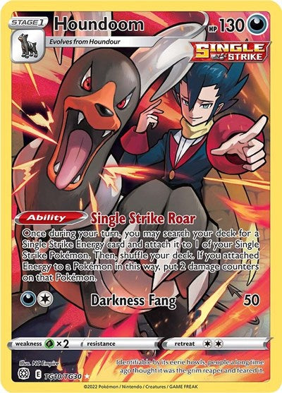 Sword & Shield Brilliant Stars Trainer Gallery - TG10/TG30 Houndoom Ultra Rare