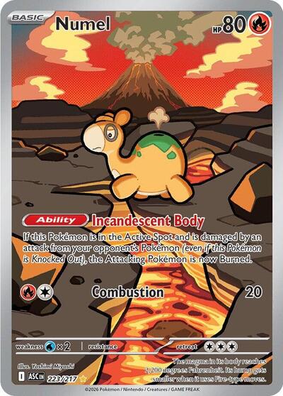 ME: Ascended Heroes - 223/217 Numel Illustration Rare