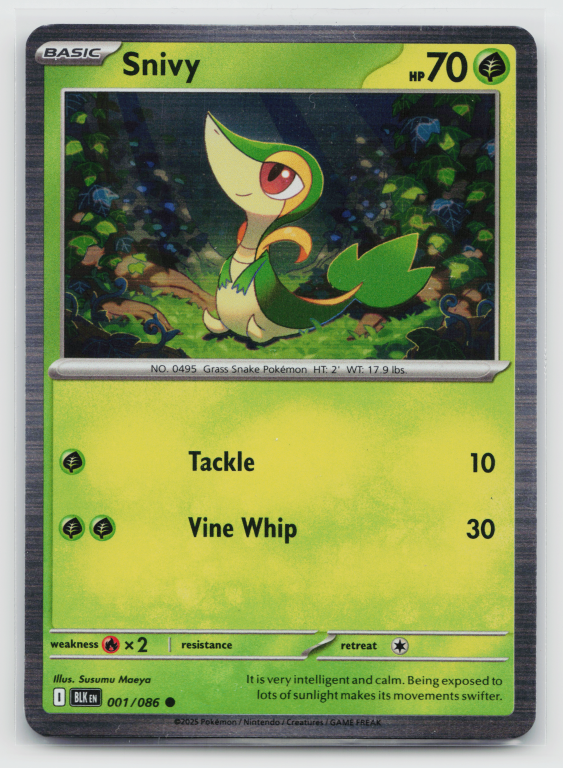 Scarlet & Violet Black Bolt - 001/086 Snivy Common (Holofoil Promo)