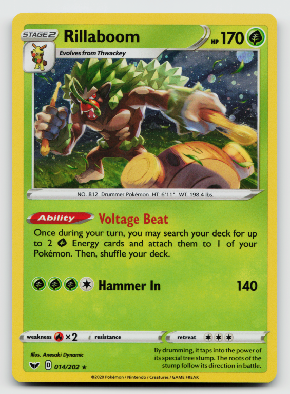 Sword & Shield - 014/202 Rillaboom Holo Rare  (Holofoil Promo)